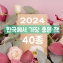 2024년 '한국에서 가장 좋은 책' 40종(디자인, 그림책, 만화, 학술 부문)