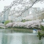 잠실 석촌호수 만개한 벚꽃 구경 롯데월드몰 런던베이글 뮤지엄 베이글 포장