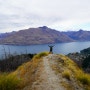 뉴질랜드 배낭여행 ⑩ 벤 로먼드 트랙(Ben Lomond Track)백패킹 끝, 끝나지 않는 백패킹