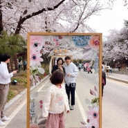 아이와 서울 인근 과천 경마공원 벚꽃나들이 🌸(포니랜드)