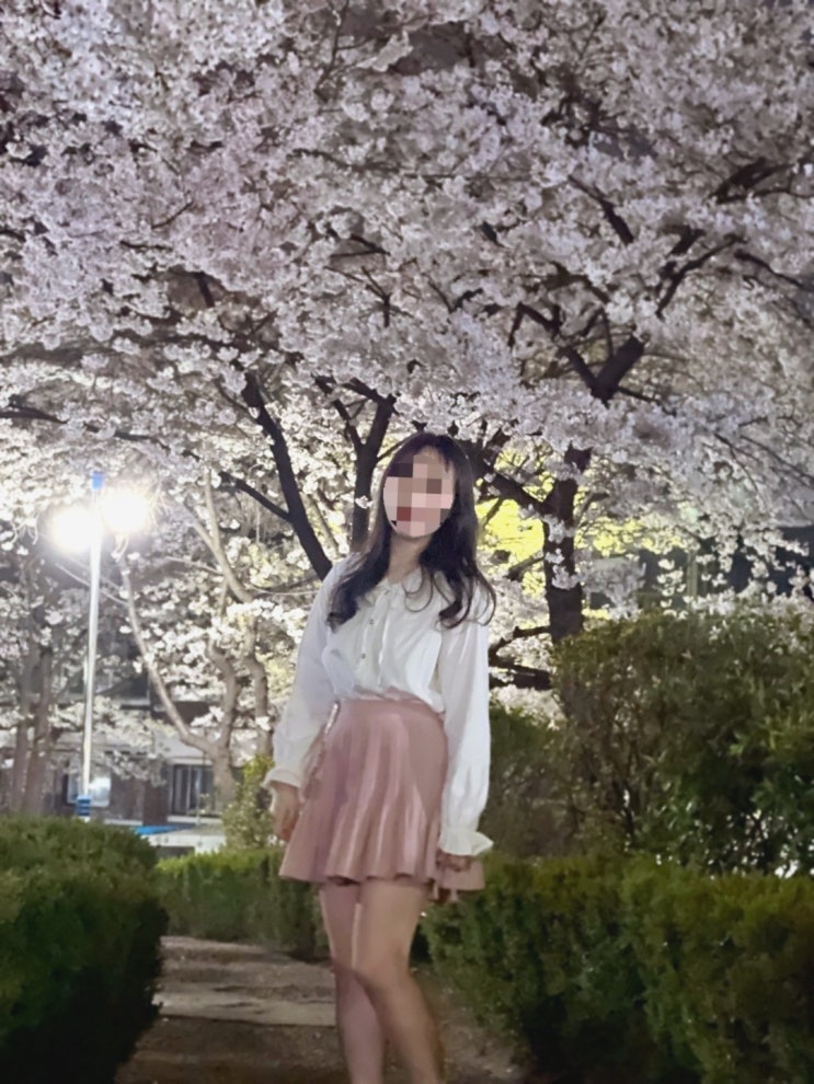 [인천]자유공원/건지공원_인천 가볼만한 벚꽃명소 4월6일...