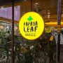 [2024 한국행] 패스트푸드 수준의 빠른 서빙 : 파파야리프(papaya leaf)