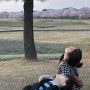 시흥 갯골생태공원 벚꽃 산책 8살 아이랑 🌸