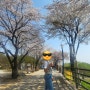 양평 벚꽃 갈산공원 평일드라이브코스 | 테라로사 양평물맑은시장 주차