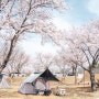 캠핑일기 #50. 영천 임고강변공원 벚꽃캠핑