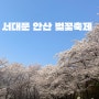 벚꽃나들이 2024서대문봄빛축제 서대문안산벚꽃축제 홍제천 벚꽃 주차팁
