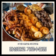 신사 가로수길 맛집 I 타코맛집 감성타코 내돈내산