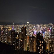 3월 홍콩여행#9 피크트램타고 야경보러!