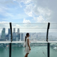 싱가폴 여행 전망대 2곳 비교 마리나베이 샌즈 & 싱가포르 플라이어