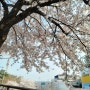 [블로그씨]벚꽃 나들이-상수역, 서울숲