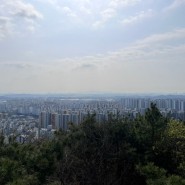 인천 검단 불로동 금정산 등산 그리고 파전 맛집 '마중'