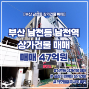 부산 남천동 남천역 상가건물 매매 feat. 사옥 리모델링 추천 빌딩 매매
