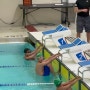 캐나다 사립학교 수영 대회에 출전했어요!!⭐️[리오하우스 조기유학/홈스테이/캐나다유학]