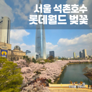 석촌호수 벚꽃 실시간, 주차 롯데월드 모노레일 아이랑 여행