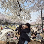 벚꽃구경 삼매경, 어린이 대공원