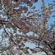 봄이다