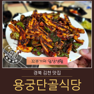 [김천 부곡동 맛집] 막창 양념구이 맛집 용궁단골식당