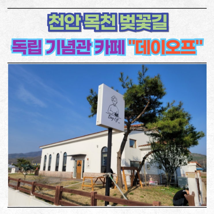 천안 목천 벚꽃길 독립기념관 카페 데이오프