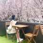 썸이프 벚꽃 카페 루프탑 포토존 후기