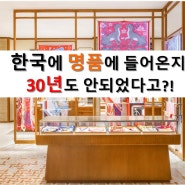 한국에 명품이 들어온지 30년도 안되었다고?! [고을의 명품스토리]