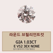 클린한 컨디션을 가진 E VS2등급 GIA 1캐럿 다이아몬드