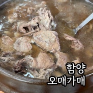 경남 함양 상림공원 맛집 오매가매 오리백숙으로 몸보신하기