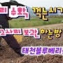 고사리 수확 시기 고사리 꺾는 시기 고사리 보관방법 태천블루베리농장