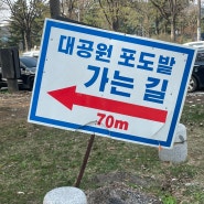 [경기도(과천)/오리주물럭] 서울대공원에서 재미나게 즐기고! 야장 느낌으로 몸보신 할 수 있는 오리주물럭 맛집 ‘대공원 포도밭’