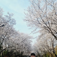 인천 벚꽃축제 인천대공원 어린이동물원