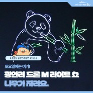 부산 수영구 광안리 M 드론라이트쇼 4월 6일 공연(나무가 자라요)