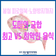 광주광역시한방병원) 봄철 피로, 노화 방지까지! 도미와 궁합 최고 VS 최악인 음식