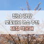 전남 광양 🌸벚꽃터널 명소 추천 제철 백운대ㅣ개화 주차장 정보