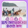 2024년 신안 임자 해변승마대회의 화려한 개막