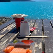 뉴질랜드 남섬 여행 : 푸카키 호수, 마운트쿡 알파인 연어 이용 꿀팁