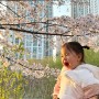 [육아일기 ~ D+755] 자유부인의 날>_<, 벚꽃놀이, 광교아브뉴프랑, 콩나물키우기 미션, 빠마걸 우리딸래미😆