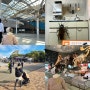오사카 아이와 여행 일정 자연사박물관
