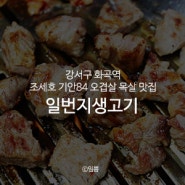강서구 화곡역 조세호 기안84 오겹살 목살 맛집 : 일번지생고기