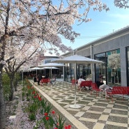 대구 동구 베이커리맛집 벚꽃뷰 카페 #슬로우벗베럴