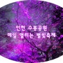 인천 수봉공원 벚꽃 별빛축제 인천 벚꽃 야경 중 최고 인천 가볼만한곳 수봉공원