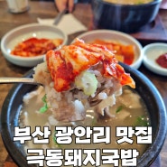 부산 광안리 국밥 맛집 | 극동돼지국밥 광안리점