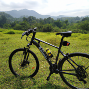 전기자전거 eBike 투어 후기: 쿠알로아랜치에서의 모험