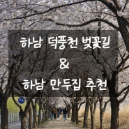 하남 덕풍천 벚꽃놀이 & 만두집 추천 (2024.04.06일 기준)