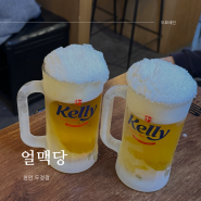 [천안]두정동 술집, 살얼음 칩맥주에 갓나온 따끈뜨끈 치킨에 치맥 한잔