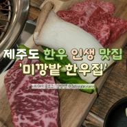 [제주] 서귀포 한우 맛집 '미깡밭 한우집' 강력 추천!