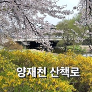 서울가볼만한곳 양재천 벚꽃나들이 양재천등축제 양재아트살롱 벚꽃다이닝