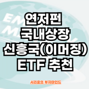 연저펀 국내상장 신흥국(이머징) ETF 추천 (Ft.TIGER인도니프티50 및 KBSTAR 글로벌주식분산액티브)
