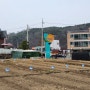 서울시 친환경 주말농장 양수 가정 농장