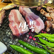 문정역 고기 맛집 산봉 육즙가득한 흑돼지