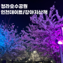 청라호수공원 : 인천데이트코스/강아지산책/봄나들이 4월 7일 벚꽃 상황