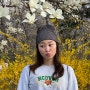 올해 벚꽃은 여기다! 서울 근교 벚꽃 축제🌸 파주 오산리기도원 벚꽃구경하기